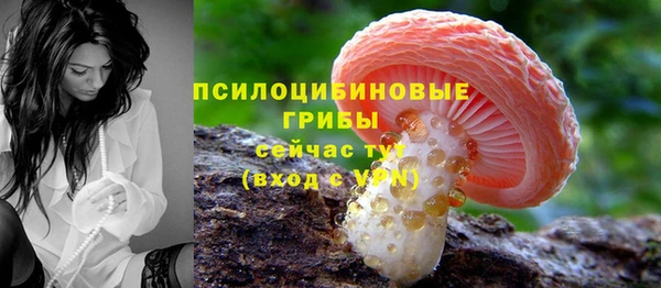 твердый Козельск